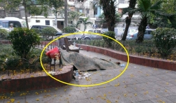 Hà Nội: Một phụ nữ tử vong trong ngày nắng nóng đạt đỉnh