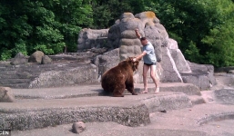 Thót tim người đàn ông liều mạng leo vào chuồng trêu gấu dữ