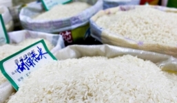 Phát hiện số lượng lớn gạo giả Trung Quốc ở Indonesia