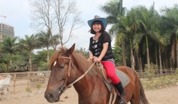 Video: Cận cảnh đàn ngựa đua tiền tỷ giữa lòng Hà Nội