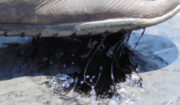 Hà Tĩnh: Mặt đường phố chảy nhựa vì nắng nóng