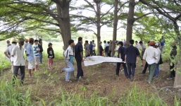 Thi thể người đàn ông treo cổ trên cây, 2 tay bị trói