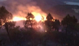 Cháy rừng thông trong đêm, hàng trăm người được huy động dập lửa