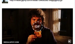 Facebook đã hỗ trợ hiển thị ảnh GIF động