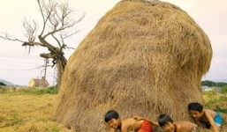 1/6 và những hình ảnh gợi nhớ tuổi thơ 'dữ dội'