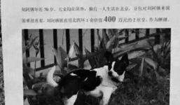 Đại gia tặng nhà 14 tỉ cho người tìm thấy chó cưng bị lạc