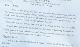 Đề thi vào lớp 10 chuyên Sư phạm Hà Nội bàn về lẽ sống dâng cho đời