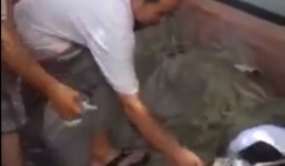 Một phụ nữ đột tử nghi do nắng nóng, dân lô đề xin số 'may mắn' gây bức xúc