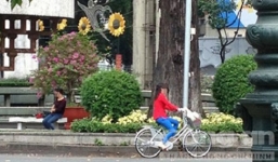 Lật tẩy mánh khóe gái bán dâm 'mồ côi' ngụy trang