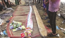 Cá mái chèo dạt vào bờ biển VN là điềm báo thảm họa động đất?