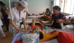 Bị rắn lục đuôi đỏ tấn công, một học sinh lớp 3 nguy kịch