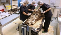 Phát hiện thi hài nữ quý tộc ôm tim chồng suốt 350 năm 