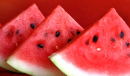 Những thực phẩm 'tuyệt đối' không cất vào tủ lạnh