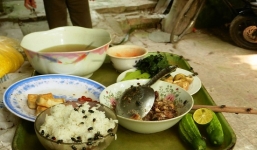  Rùng mình chứng kiến cảnh ruồi, nhặng bu kín mâm cơm