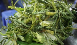 Những đối tượng tuyệt đối không ăn rau rút (rau nhút)
