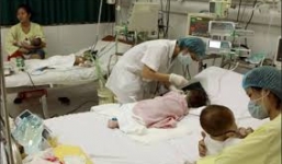 Sự thật thông tin ăn vải nhiễm virus viêm não Nhật Bản