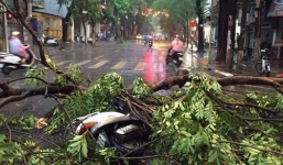 Hà Nội: Đường phố ngổn ngang sau cơn giông lớn dị thường