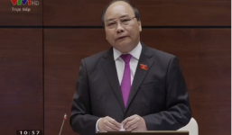 Phó Thủ tướng: Vụ chặt cây xanh ở Hà Nội chỉ dừng ở mức sai sót