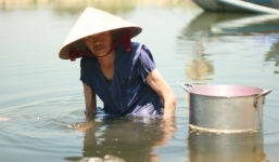 Nước mắt mẹ già 75 tuổi oằn lưng nuôi 6 người con, cháu tâm thần