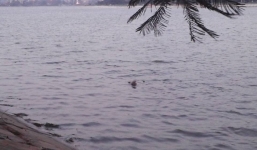 Phát hiện thi thể người đàn ông nổi trên hồ Linh Đàm