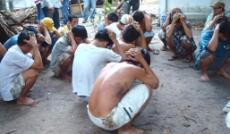 Phá sới gà trong trang trại