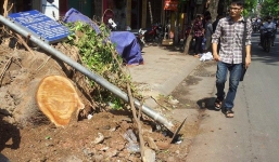 Giây phút cây đổ cướp đi sinh mạng nữ sinh xấu số