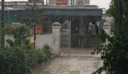 Sau Ninh Thuận, thành phố Vinh tiếp tục đón 'mưa vàng'