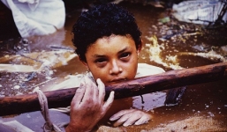 Video: Những bức ảnh gây tranh cãi nhất lịch sử báo chí