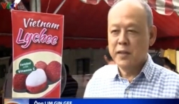 Người Malaysia: “Vải thiều Việt Nam ngon hơn Trung Quốc”