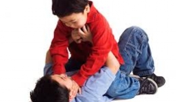 Có nên dạy con phản kháng lại khi bị bạn đánh?