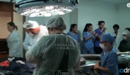 Video: Phẫu thuật cứu sống trăn khủng dài gần 5 mét