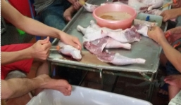 Video: Hãi hùng xưởng chân giò, đùi gà muối 'siêu' bẩn