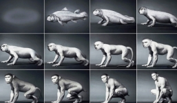 Video: 550 triệu năm tiến hóa của con người tóm gọn trong 1 phút