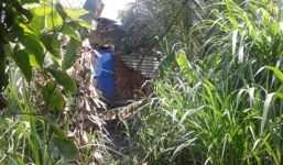 Thanh niên treo cổ trên cây mít: Nghi vấn giết người, tạo hiện trường giả