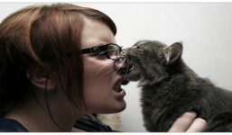 Bị mèo cắn, cô gái quay ra cắn... bạn trai để trả thù