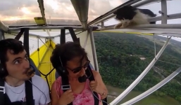 Video: Đang bay, phi công phát hiện chú mèo trên cánh máy bay