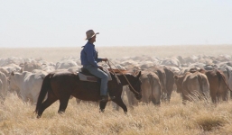 Từ vài đồng xu lẻ thành chủ khu đất giá 7 nghìn tỉ