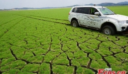 Hạn hán biến hồ nước thành cánh đồng hoang ở Trung Quốc