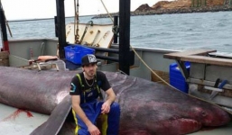 Ngư dân sửng sốt bắt được 'quái vật biển' khổng lồ