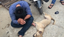 Trộm chó bị phát hiện, nhảy xuống sông bèo