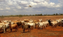 Cận cảnh khu đất đắt nhất hành tinh giá 7 nghìn tỉ