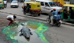 Chàng trai biến ổ gà trên đường thành ao cá sấu