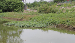 Nghi án người phụ nữ trẻ bị đánh rồi vứt xác xuống mương