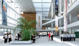 5 năm học đạt toàn điểm 10 vẫn trượt vào lớp 6 trường Hà Nội - Amsterdam