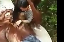 Video hot girl hôn đười ươi gây bão mạng