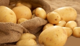 Công dụng tuyệt vời của khoai tây