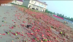 Video: Hàng chục tấn dưa hấu đổ đầy đường do xe tải mất lái