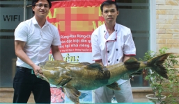 Chi “khủng”  40 triệu đồng cho một con cá Lăng Chiên 