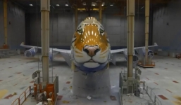 Video: Lạ mắt với máy bay hình đầu hổ độc đáo