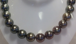 Video: Chiêm ngưỡng chuỗi ngọc trai đen đắt nhất Việt Nam